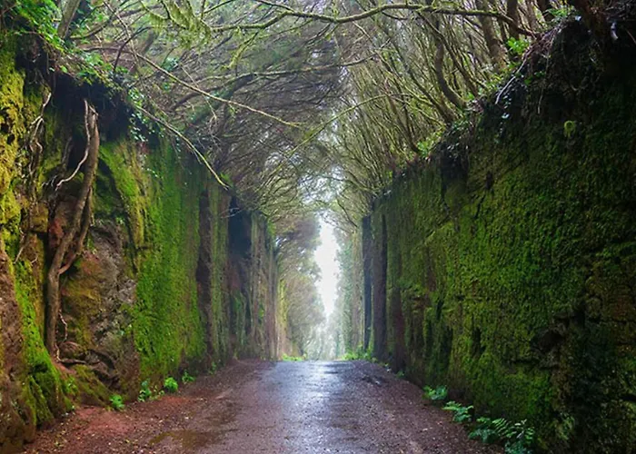 דירה Slam באיאמר